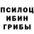 Галлюциногенные грибы ЛСД Jansaya Begejanova