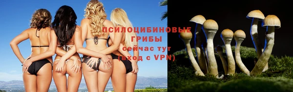 MESCALINE Вязьма