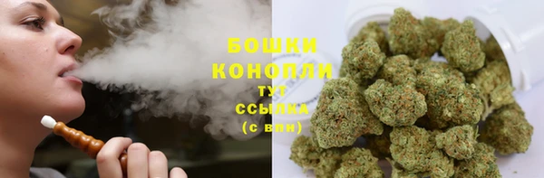 PSILOCYBIN Вяземский