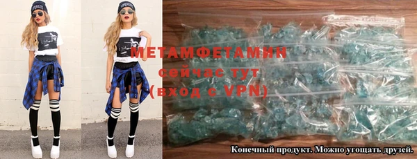 PSILOCYBIN Вяземский