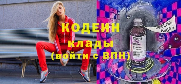 PSILOCYBIN Вяземский