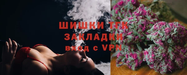 PSILOCYBIN Вяземский