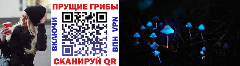 Купить  Сунжа  Галлюциногенные грибы GOLDEN TEACHER 